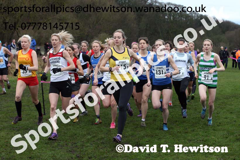 Senior and veteran womens Durham Cathedral Cross Country Relays, Maiden Castle, Durham. Photo: David T. Hewitson/Sports for All Pics